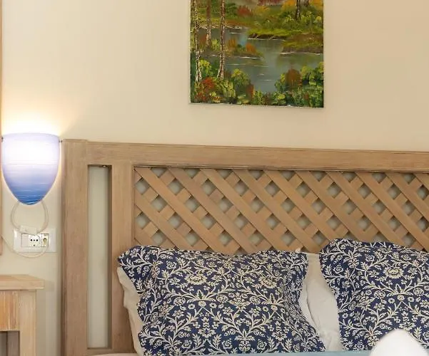 Modi * 시로피가도