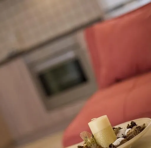 Modi 시로피가도